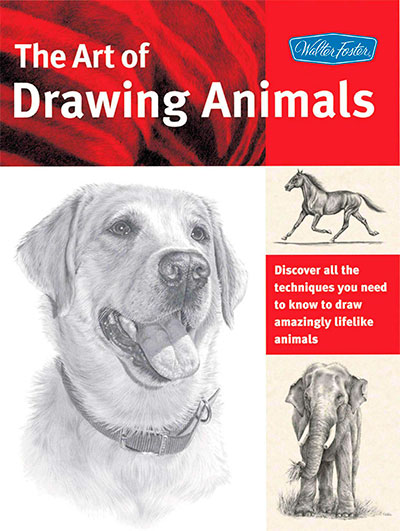 The Weatherly Guide To Drawing Animals Free Pdf Downloadl